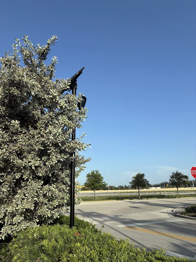 A slim black pole partly hidden by a shrub at a store entrance road, with a solar panel at the top and a camera mounted below it.